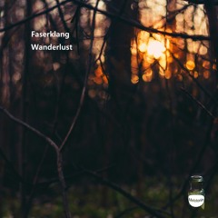 Faserklang - Desire