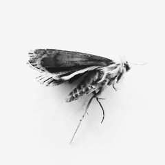 INVOCATION