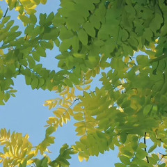 [farfaar.] loop 3.1.2025/09:52:43