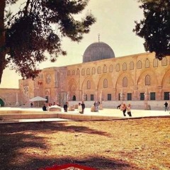 لِّمَنِ ٱلۡمُلۡكُ ٱلۡیَوۡمَ | تلاوة طيبة من سورة غافر