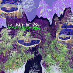 RUDELARIS        restinpeacealyaris x adharmacollective