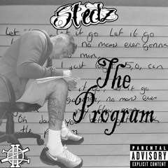 Stedz - the program