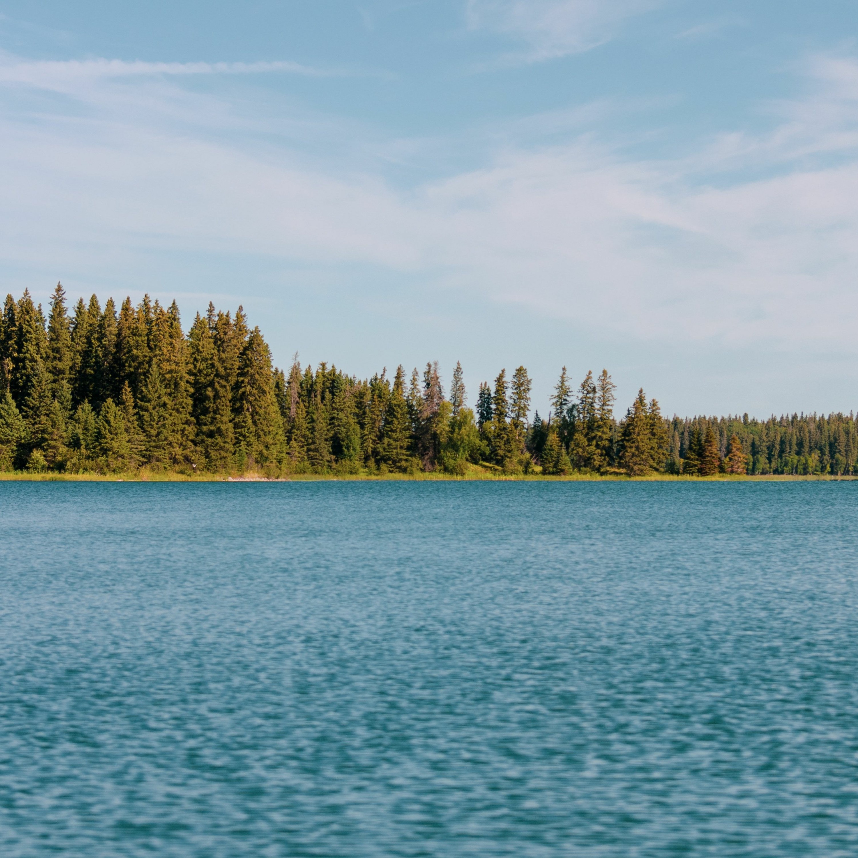 Episode 144—The Summer To Loon-isode