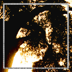 The tree