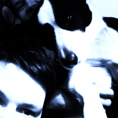 Orson Facies Floris Trio