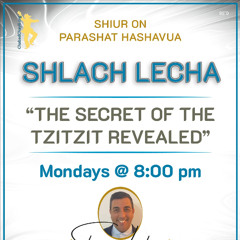 " SECRET OF THE TZITZIT REVEALED" - PARASHAT SHLACH LECHA -SHARONE LANKRY 5785