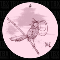 PREMIERE: Bunny Ross - Whip It (Sojourn Remix)