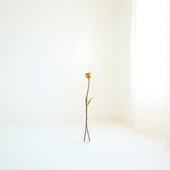 Believe me - Alternate ver 2