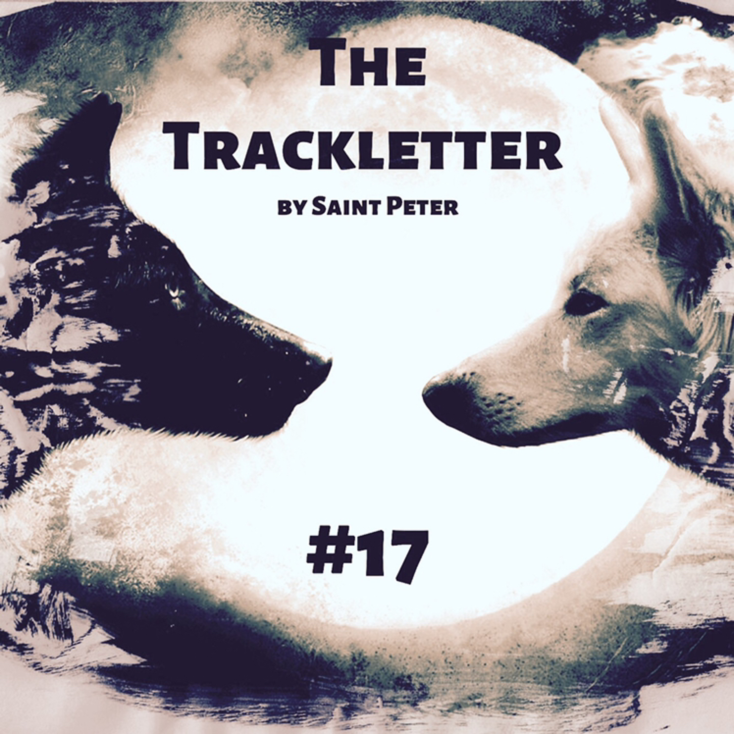 Saint Peter - Mixes