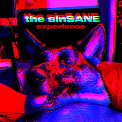 the sinSANE experience VOL. 002 (Live Set)