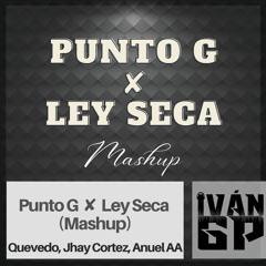 Punto G ✘ Ley Seca - Quevedo, Jhay Cortez, Anuel AA (Iván GP Mashup)