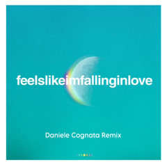 Coldplay - feelslikeimfallinginlove (Daniele Cognata Remix).mp3