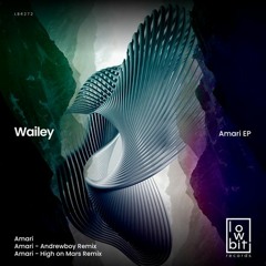 Wailey - Amari ( Andrewboy remix )