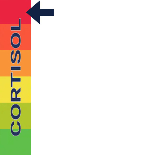 logged out of discord again