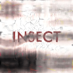 INSECT [chune challenge]