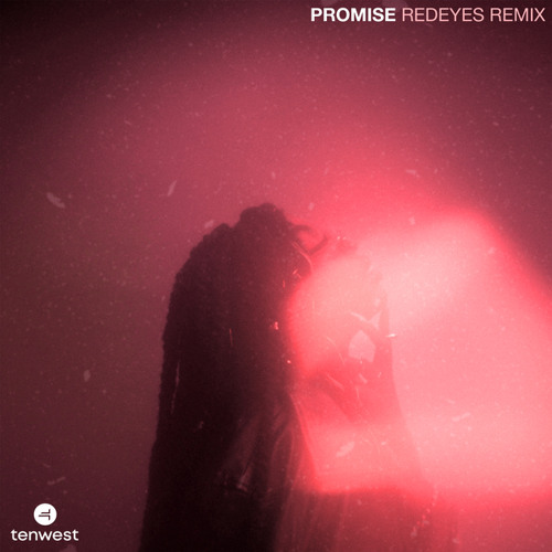 PROMISE (Redeyes Remix)