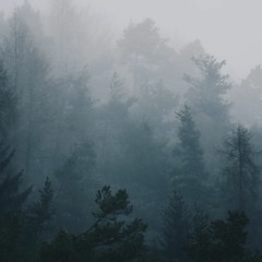 Raindrop Fog