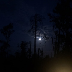 Jupiter X SpaceboyVershad