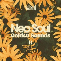 Alliant Audio - Neo Soul Golden Sounds 2