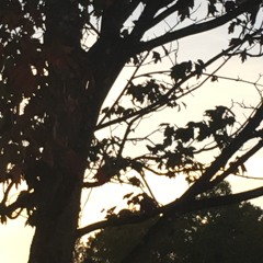 5 (Prod. by JustDan Beats)