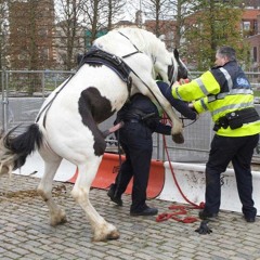 Faila - Drama kripo_edit