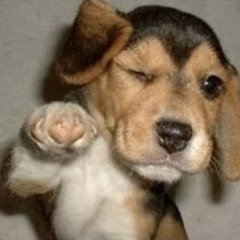 sticks prod breadwinner rubenjordan