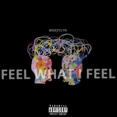BreezyLYN  - Feel What I Feel