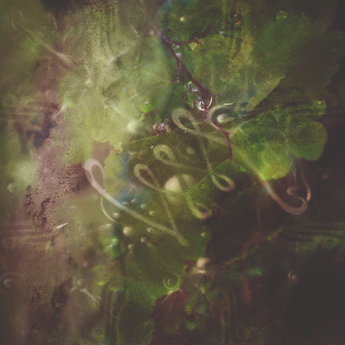 Simone Bauer - Droide [Aurora]