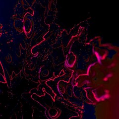 LAWLOR - Polarity [FREE DL]