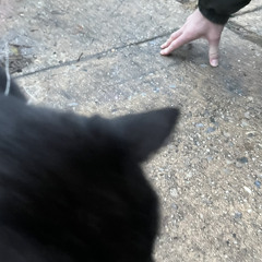 pabst blue ribbon ground zero