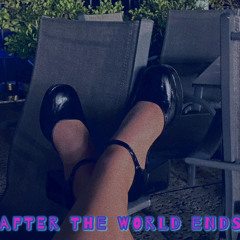 After The World Ends (acoustic demo)