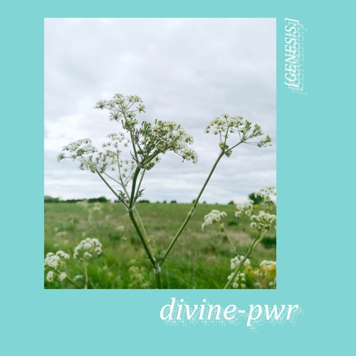divine-pwr