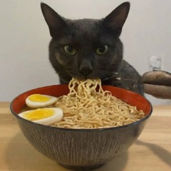 KHI YÊU NÀO ĐÂU AI MUỐN X BỎ LỠ MỘT NGƯỜI