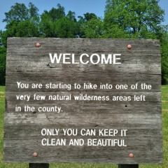 Ocean Breathes Salty (Modest Mouse Acoustic Cover)