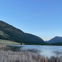 Okanogan Wetland Morning