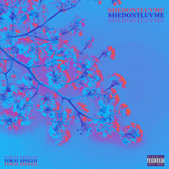 SHEDONTLUVME