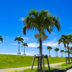 Resort(DOON)