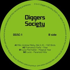 Luca Piermattei - Magical Year [DGS-1]