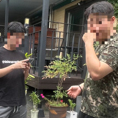 Rock on me (Feat. STLYUNG)