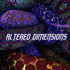 Altered Dimension - I Funking Luv It - (Original Mix) - F#m - 150 BPM