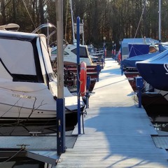 231. Erster Frost - 23.11.25