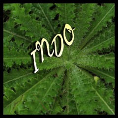 INDO