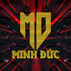 Việt Mix - Em Băng Qua Remix