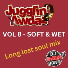 JUGGLIN' AWDAZ VOL VIII (SOFT & WET) - A musical sexcapade