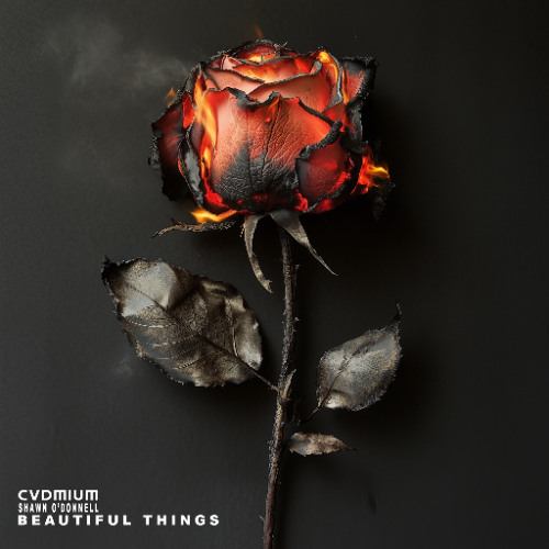 CVDMIUM - Beautiful Things (ft. Shawn O'Donnell)