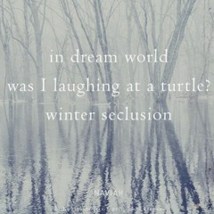 Laughing at a Turtle [NaviarHaiku488]