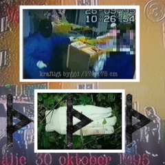 13. ᚦᚦᚦᚦperfect violation ᚦᚦ v2tm ft Bladee & VS-55