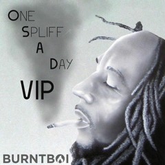 Burntboi - One Spliff a Day VIP (FREE DOWNLOAD)