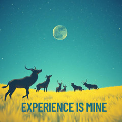 experience is mine