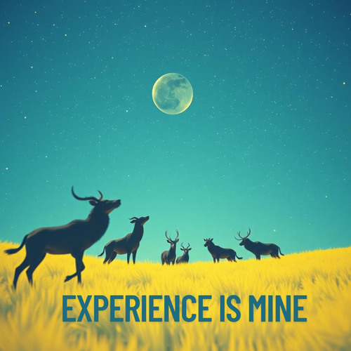experience is mine